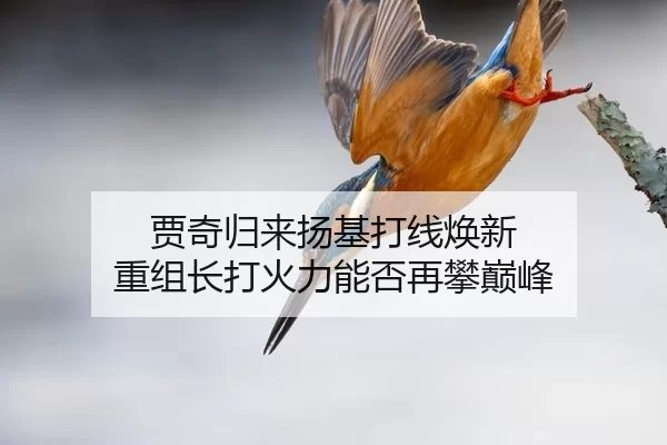 jia-qi-gui-lai-yang-ji-da-xian-huan-xin-chong-zu-zhang-da-huo-li-neng-fou-zai-pan-dian-feng-1-997.jpg